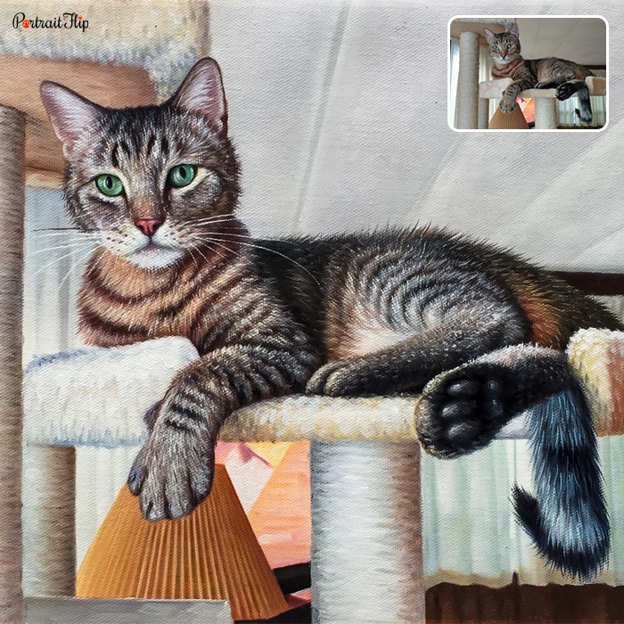 Acrylic painting of a cat lying on a cattery